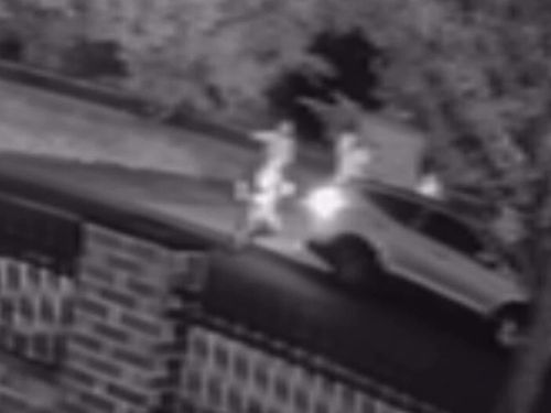 Os supostos ladrões foram assustados por um vizinho que chamou a polícia enquanto eles saíam em disparada em seu carro.