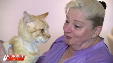 Garfield and his owner Marg have finally reunited.