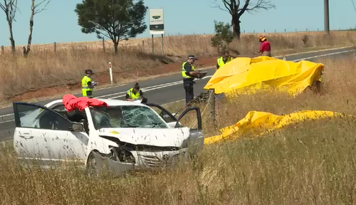 There are now calls for tougher conditions for international drivers. (9NEWS)