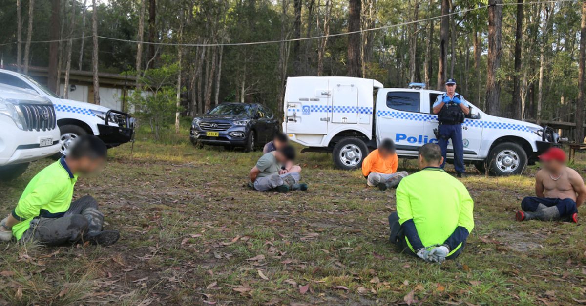 Police seize $40m of cannabis in one of Australia's biggest drug busts