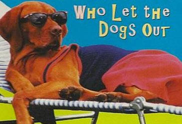 Who had a hit with 'Who Let the Dogs Out?' in 2000?