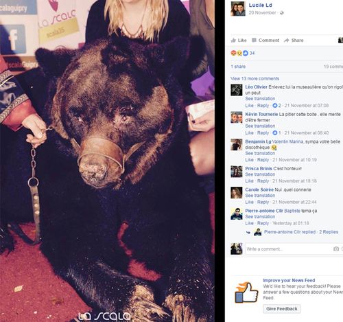 Photos of the bear posted to the French nightclub's Facebook page were a lightning rod for anger. Source: Facebook