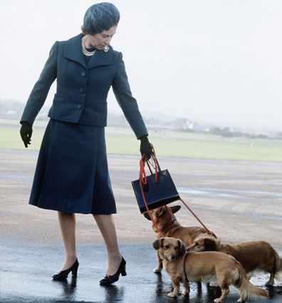 Queen Elizabeth with her corgis at an airport