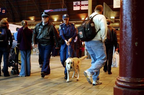 NSW Police have threatened to turn away anyone picked out as a possible drug smuggler by sniffer dogs. Picture: AAP