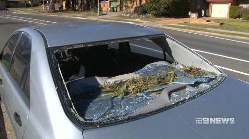 A gumtree narrowly missed passengers in this car at Ambarvale as wild winds caused havoc. Picture: 9NEWS