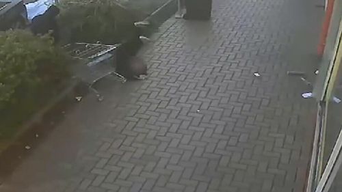 CCTV shows the woman tumbling to the ground during the attack. 