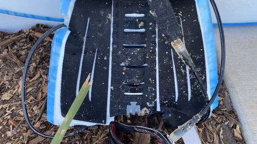 Toby Begg's board after he was attacked by a shark in Port Macquarie.