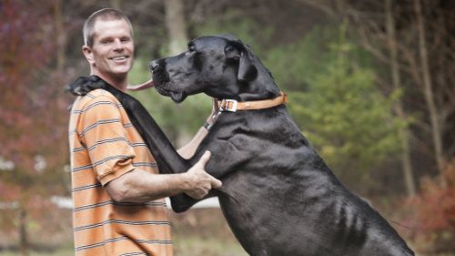 Zeus, tallest dog in the world, dead at age five