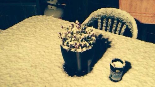 Residents in the Blue Mountains were shocked when it started to snow.