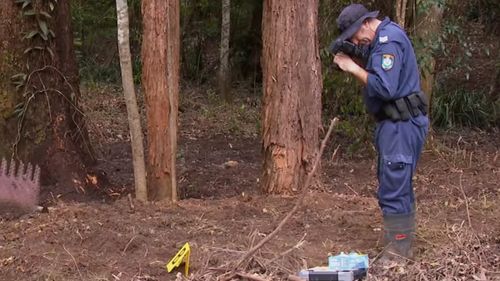 A replica gun has been found on day 16 of the search for William Tyrrell's remains on the NSW Mid North Coast.