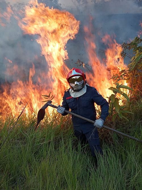 A handout picture made available by Rio Branco Firemen shows the fight against a fire in Rio Branco, Amazonian State of Acre, Brazil. 