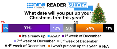 Christmas trees in Australia survey