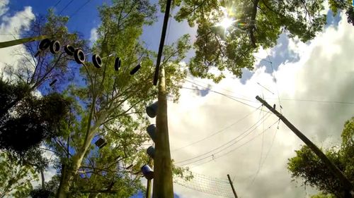 Connor was airlifted to hospital after becoming tangled in ropes at the Adventures Alternatives Education Centre on the Sunshine Coast in Queensland. Picture: 9NEWS.