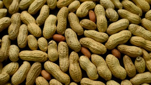 Australian researchers say they may have found a way to cure peanut allergies. (File/AAP)