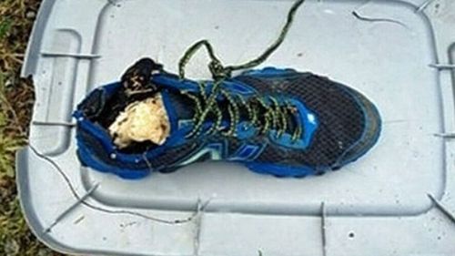 A shoe found last year with remains of a human foot that washed up on a remote Vancouver Island beach. (Photo: BC Coroner's Office).