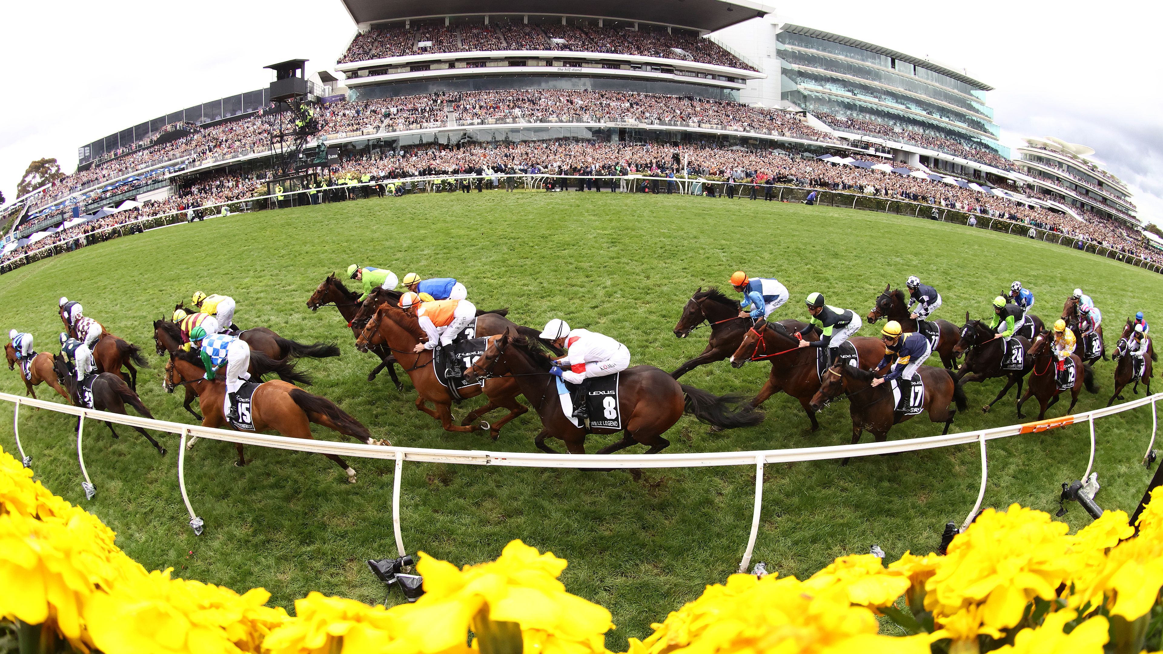MELBOURNE, AUSTRALIA - NOVEMBER 01: The field pass the post during race seven the Lexus Melbourne Cup during 2022 Lexus Melbourne Cup Day at Flemington Racecourse on November 01, 2022 in Melbourne, Australia. (Photo by Robert Cianflone/Getty Images)