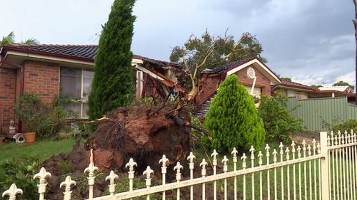 Clean-up begins in Sydney after intense storms claimed the life of a man in the city's west