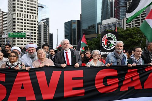 Pro-Palestine protesters march across the Sydney Harbour Bridge to bring attention to the ongoing Israel bombing and aid restrictions to Gaza. 3 August 2025 Photo: Janie Barrett
