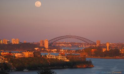 The supermoon from Sydney Harbour this morning. (Supplied: Robbie Sydney Photography)