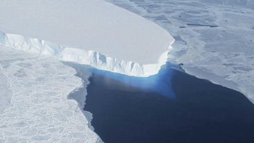 The Thwaites Glacier in Antarctica is being eaten away from below as warm, salty water flows underneath it according to new research.