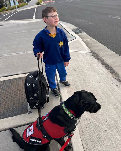 assistance dogs