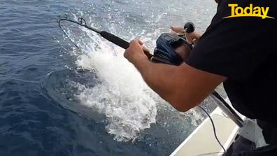 Coral Bay Perth blokes fishing trip shark takes bite at boat motor