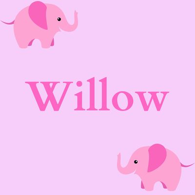 9. Willow
