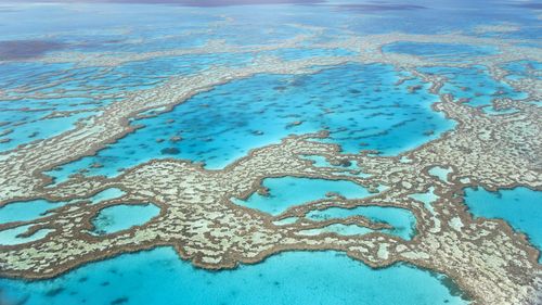Aerial view of the Great Barrier Reef in Australia.