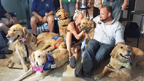 (Facebook/Lutheran Church Charities Comfort Dogs)