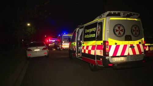 Sydney man suffers serious head injuries in brotherly brawl