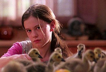 The movie Fly Away Home depicts the migration of which species of bird?