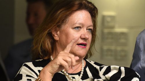 Gina Rinehart says Australian politicians ‘don’t have the guts’ to curb government spending