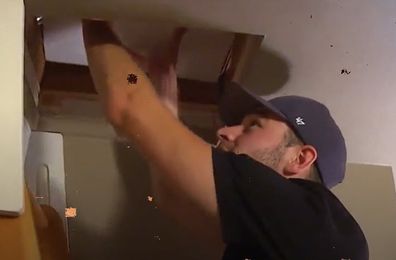 man discovers woman living in his attic