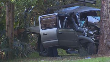 One teenager has died and another five have been injured after their ute slammed into a tree in Bayview on Sydney&#x27;s northern beaches.