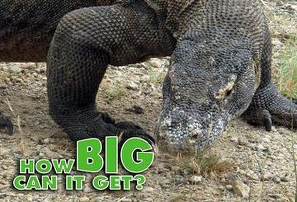 How Big Can It Get?