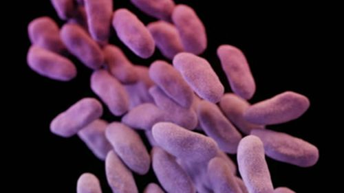 Urgent health alert issued over superbug in Melbourne hospitals
