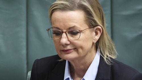 A líder da oposição, Sussan Ley, durante o período de perguntas no Parlamento em Canberra, na segunda-feira, 24 de novembro de 2025.