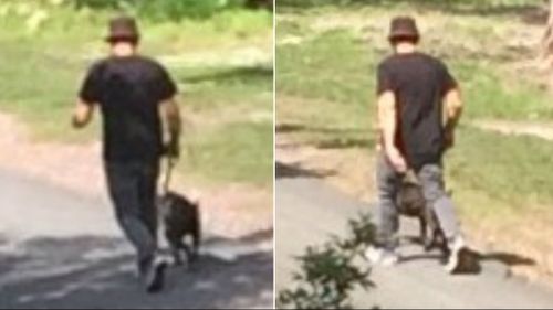 Police search for man after boy approached twice on Sunshine Coast