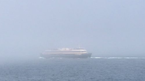 The Manly ferry in Sydney made its way through fog this morning.