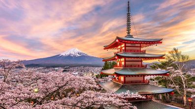 Mt Fuji, Tokyo