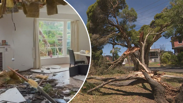 A Melbourne family has been left homeless after a tree smashed into their home during wild storms.