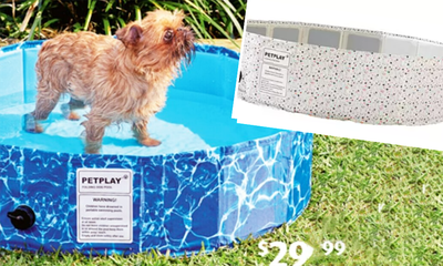 $30 pet pool the perfect summer buy