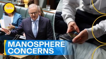 Prime Minister Anthony Albanese targets the 'manosphere' over digital safety