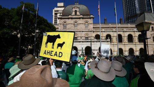 Farmers and their supporters protest outside Parliament House in Brisbane. (AAP)