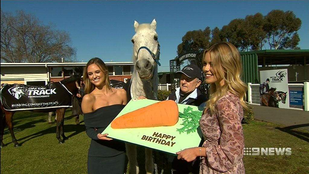 Australiaâ€™s racehorses celebrate their birthdays