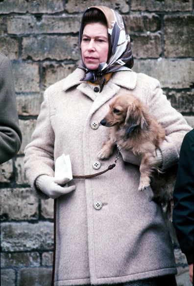 Queen Elizabeth with dog