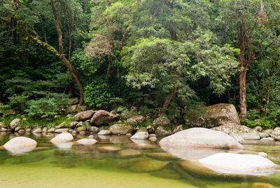 4. Daintree Rainforest, Queensland