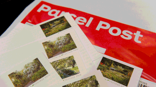 Australia Post under fire for failing to adhere to own ‘knock and call out’ policies
