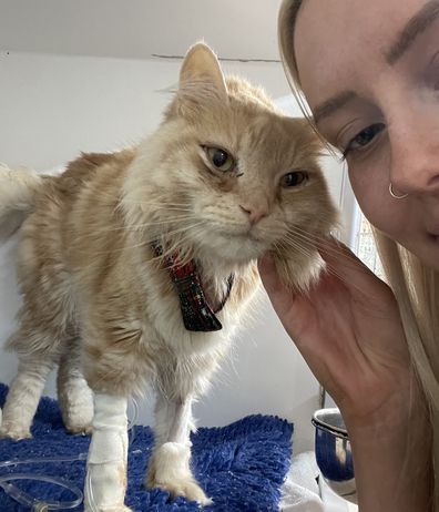 Ireland Hicks has been raising money to cover her beloved cat's treatment.