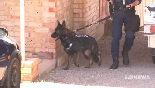 Sniffer dogs have joined police in searching about 60 homes in the area. (9NEWS)